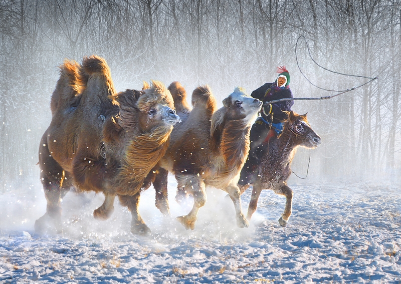 295 - SNOWBOUND ODYESSY - HO HENRY - hong kong.jpg